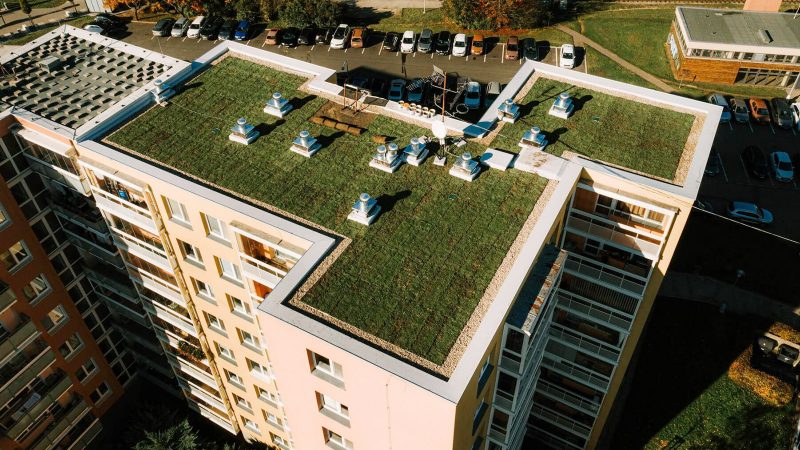 Zelená střecha na panelovém domě. <em>Foto: greentop.cz</em>